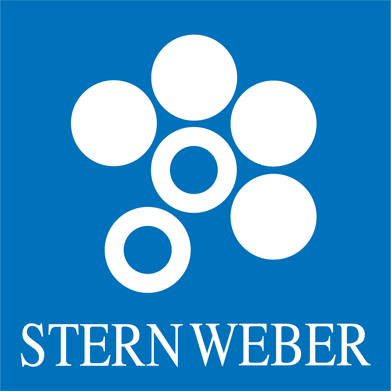 LOogo_STERN_Pant300C